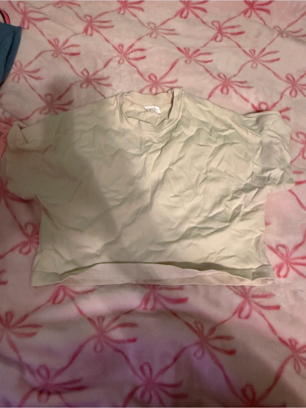 Zara Kids Pale Green Short Sleeve Crop Tee